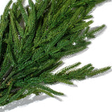 Green Norfolk Pine Branch