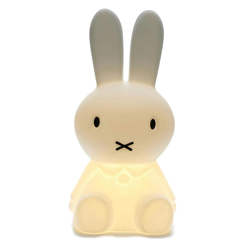 Mr Maria Miffy Lights