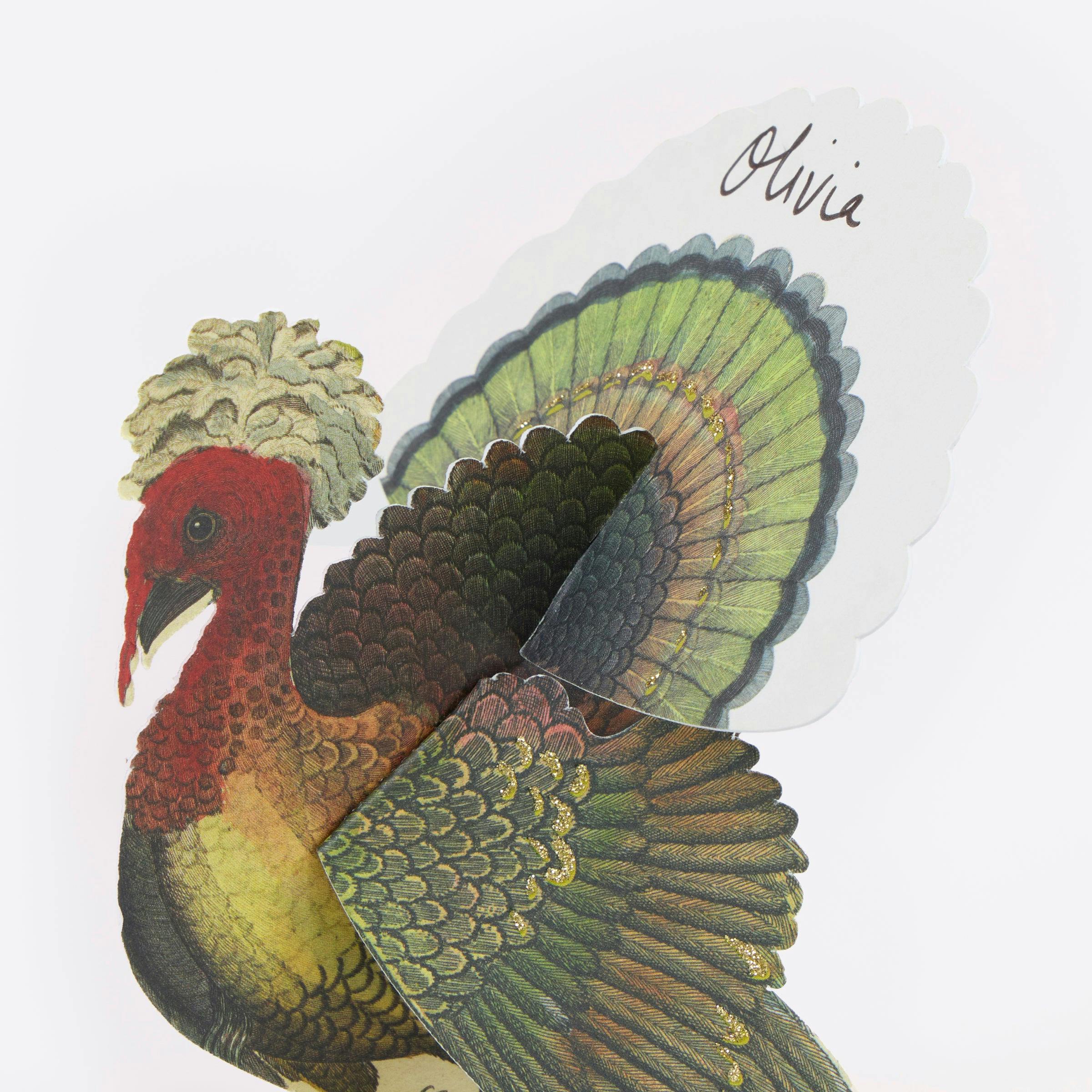 Meri Meri x John Derian Turkey Place Cards
