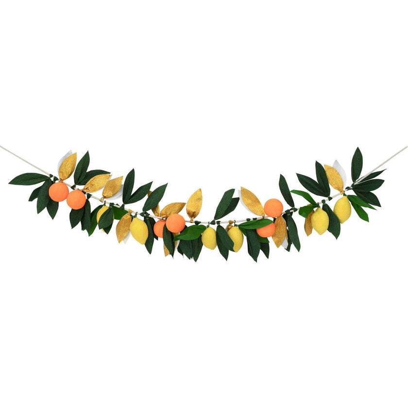 Citrus Fruit Garland