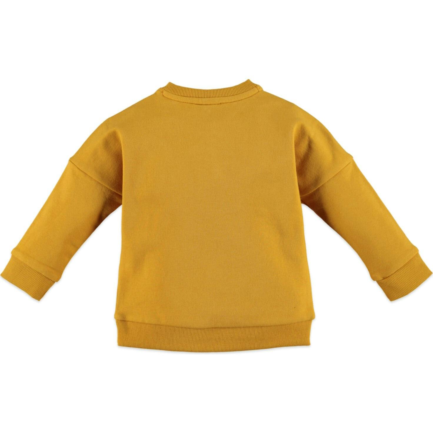 Embroidered Sweatshirt