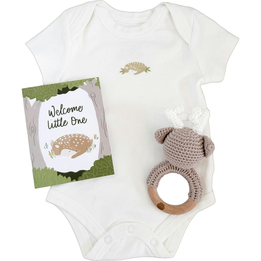 Onesie Teether and Card Gift Set - Crab