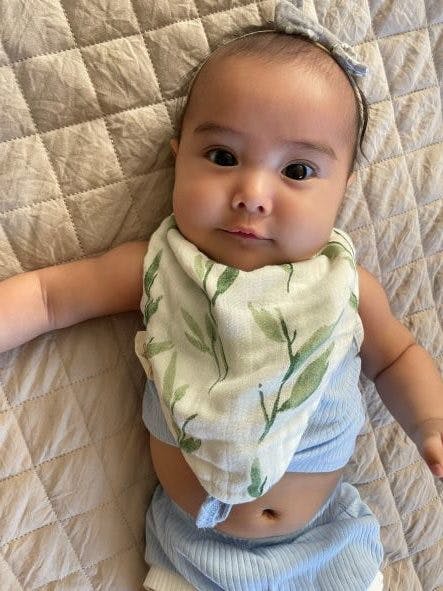 Parker Floral Cotton Bandana Baby Bib (3 Pack)