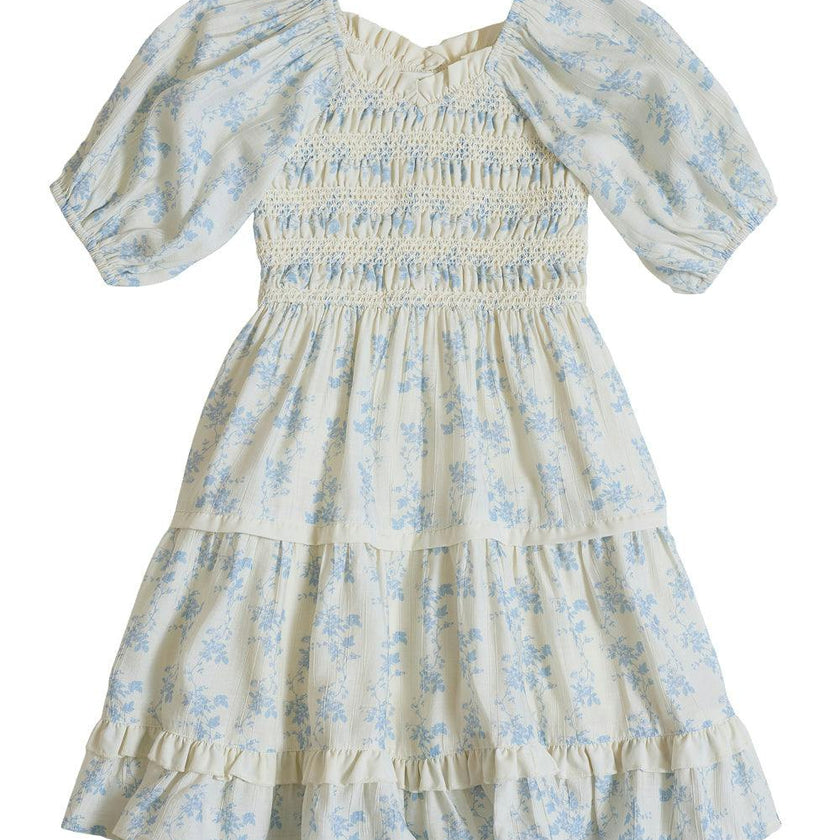 Mini Roselyn Dress in Ivory Porcelain Fleur
