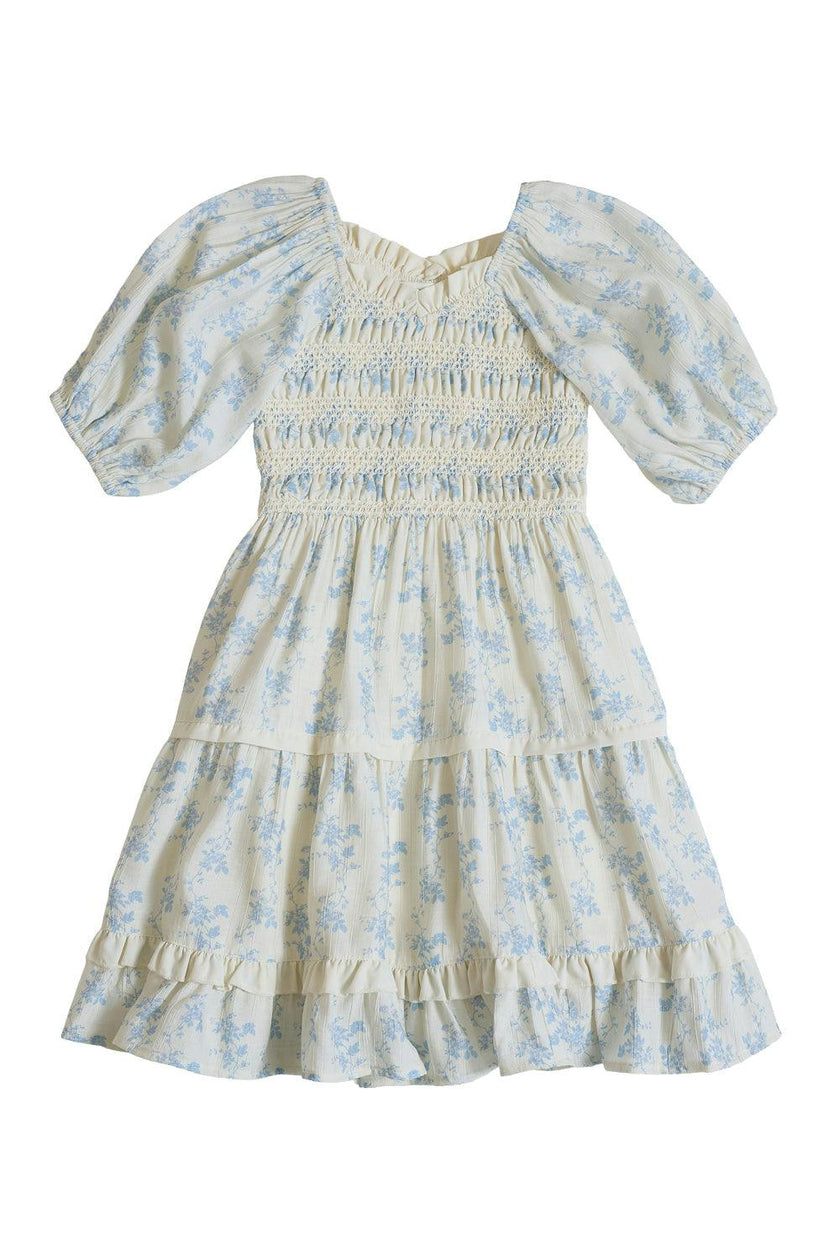 Mini Roselyn Dress in Ivory Porcelain Fleur