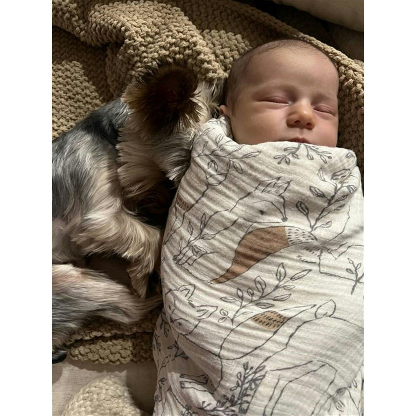 Ezra 2-pc. Woodland Animal Swaddle Wraps