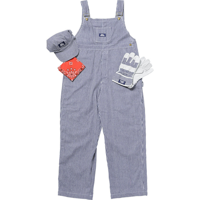 Adult Train Engineer w/Cap, Stripes