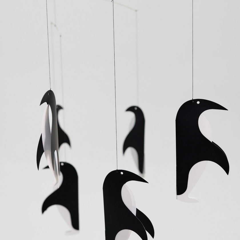 Penguin Talk.