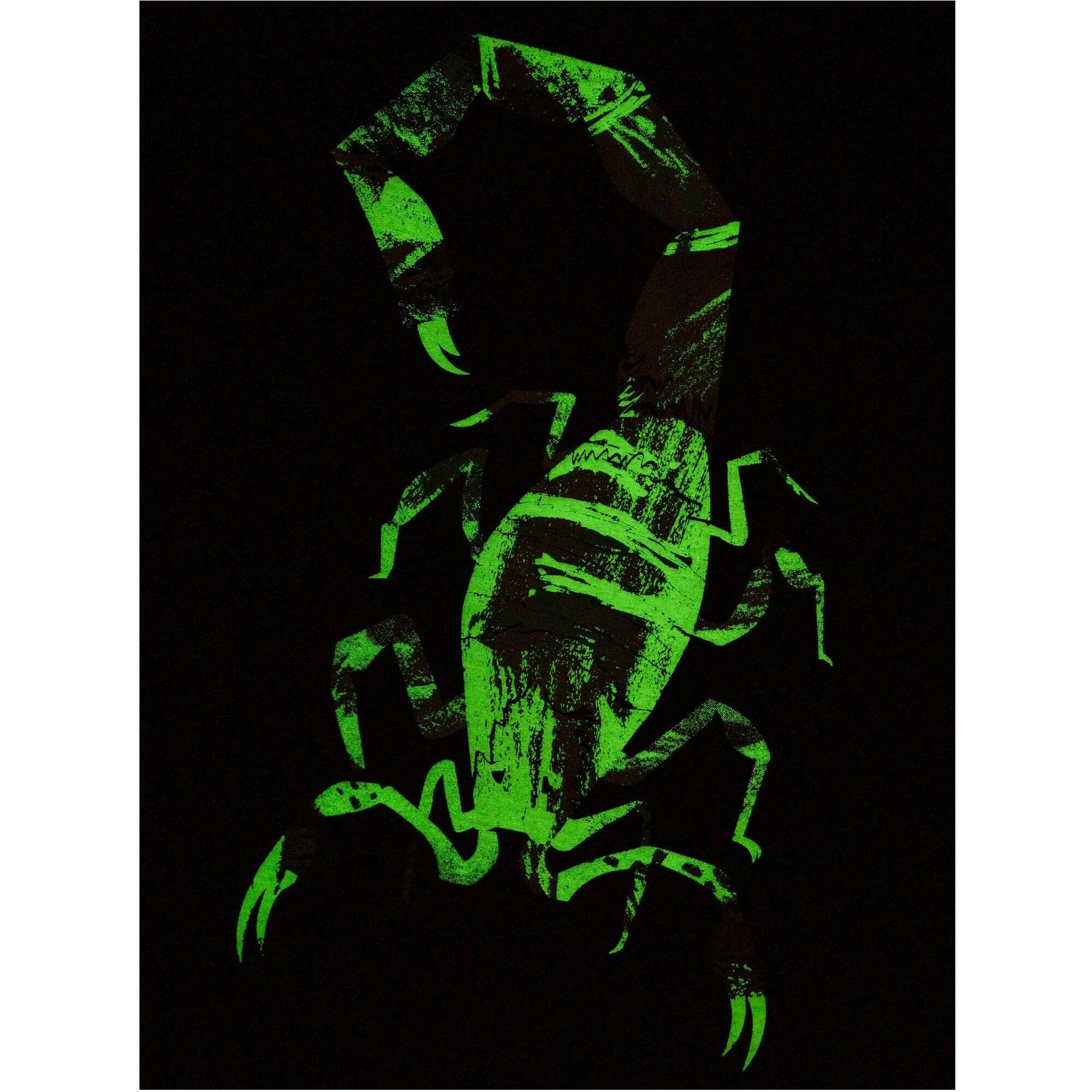 Scorpion Glow Graphic Print Long Sleeve T-Shirt, Black