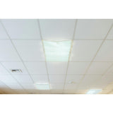 Fluorescent Light Filters (Whisper White)