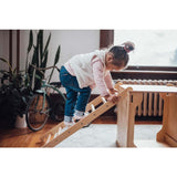 PlayBox Pikler Climber