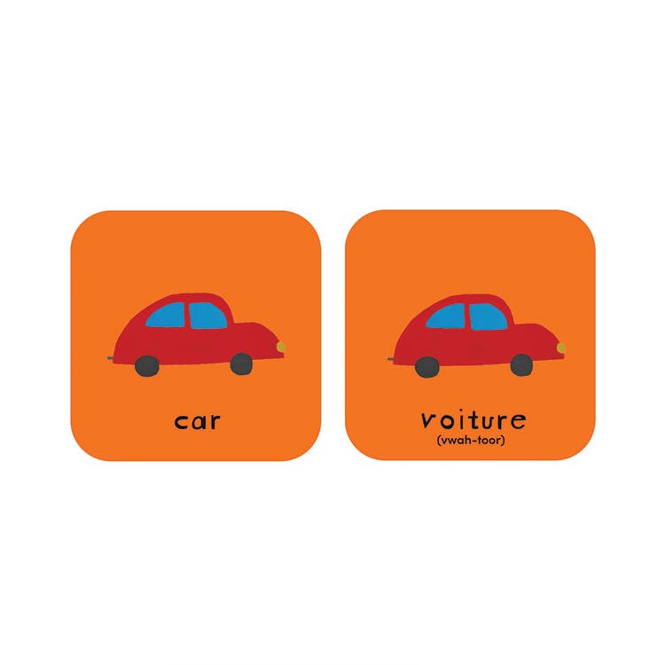 Minilingo, French/English Flashcards