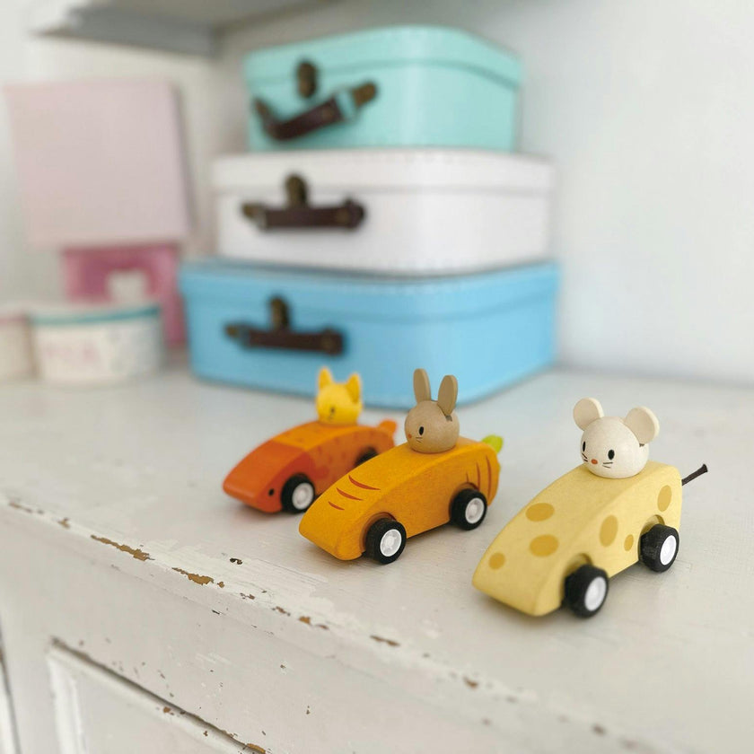 Animal Friends Racing Cars
