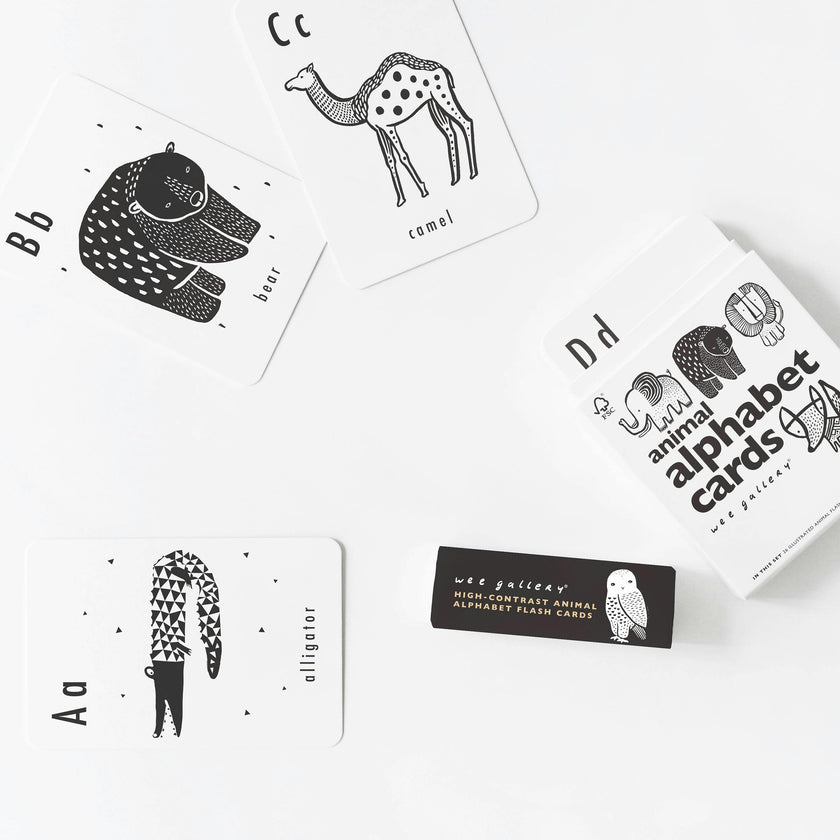 Mix, Match & Learn Bundle