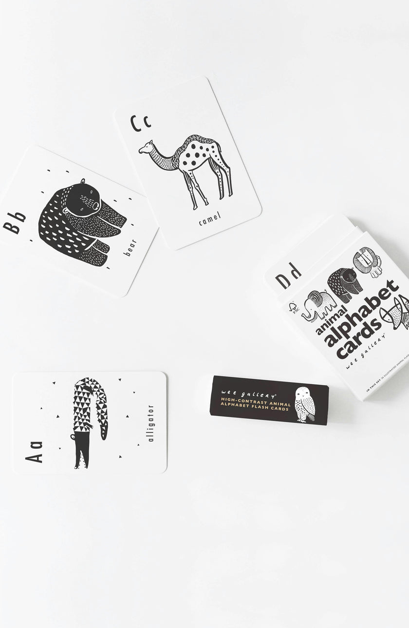 Mix, Match & Learn Bundle