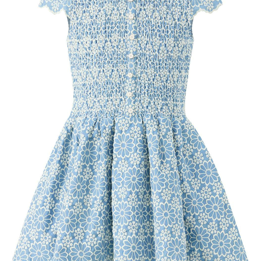 Kara Embroidered Mini Dress
