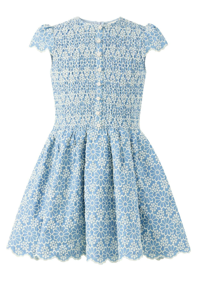 Kara Embroidered Mini Dress