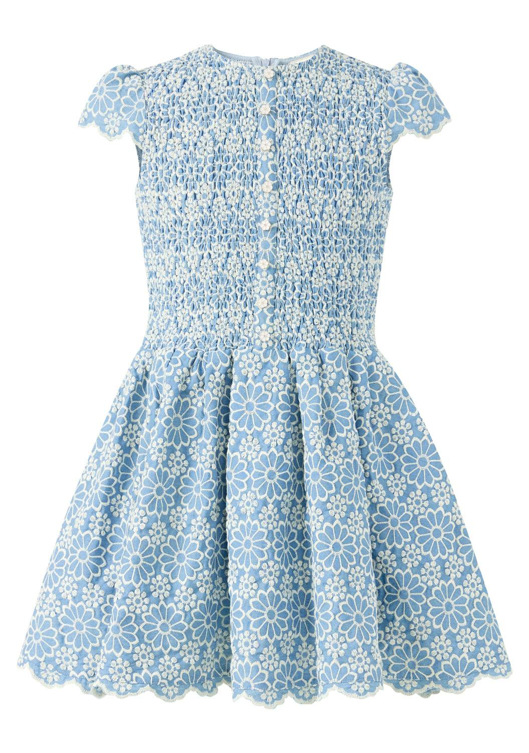 Kara Embroidered Mini Dress