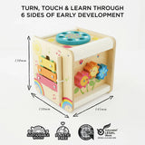 Petit Activity Cube
