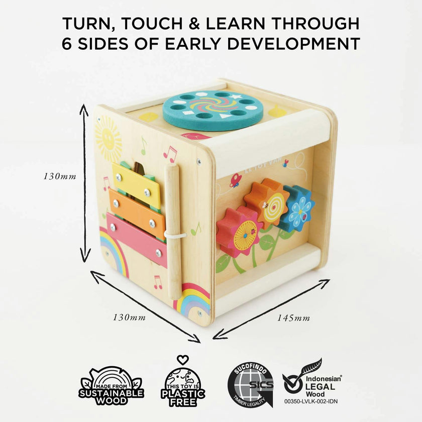 Petit Activity Cube