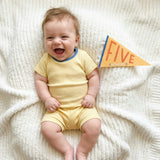 Little Kaleidoscope Petit Milestone Pennants