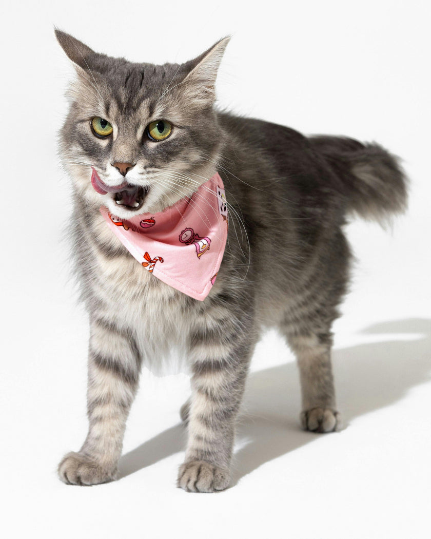 Sugar Cookies Bamboo Pet Bandana