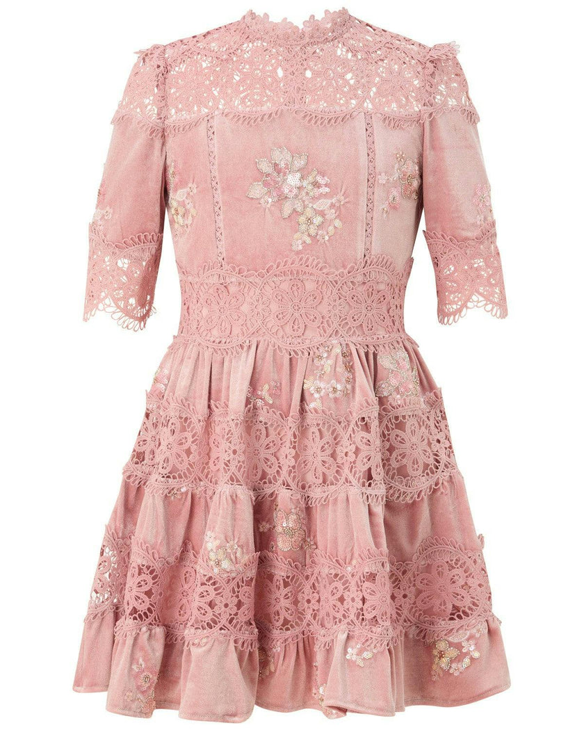 Destiny Velvet Mini Dress