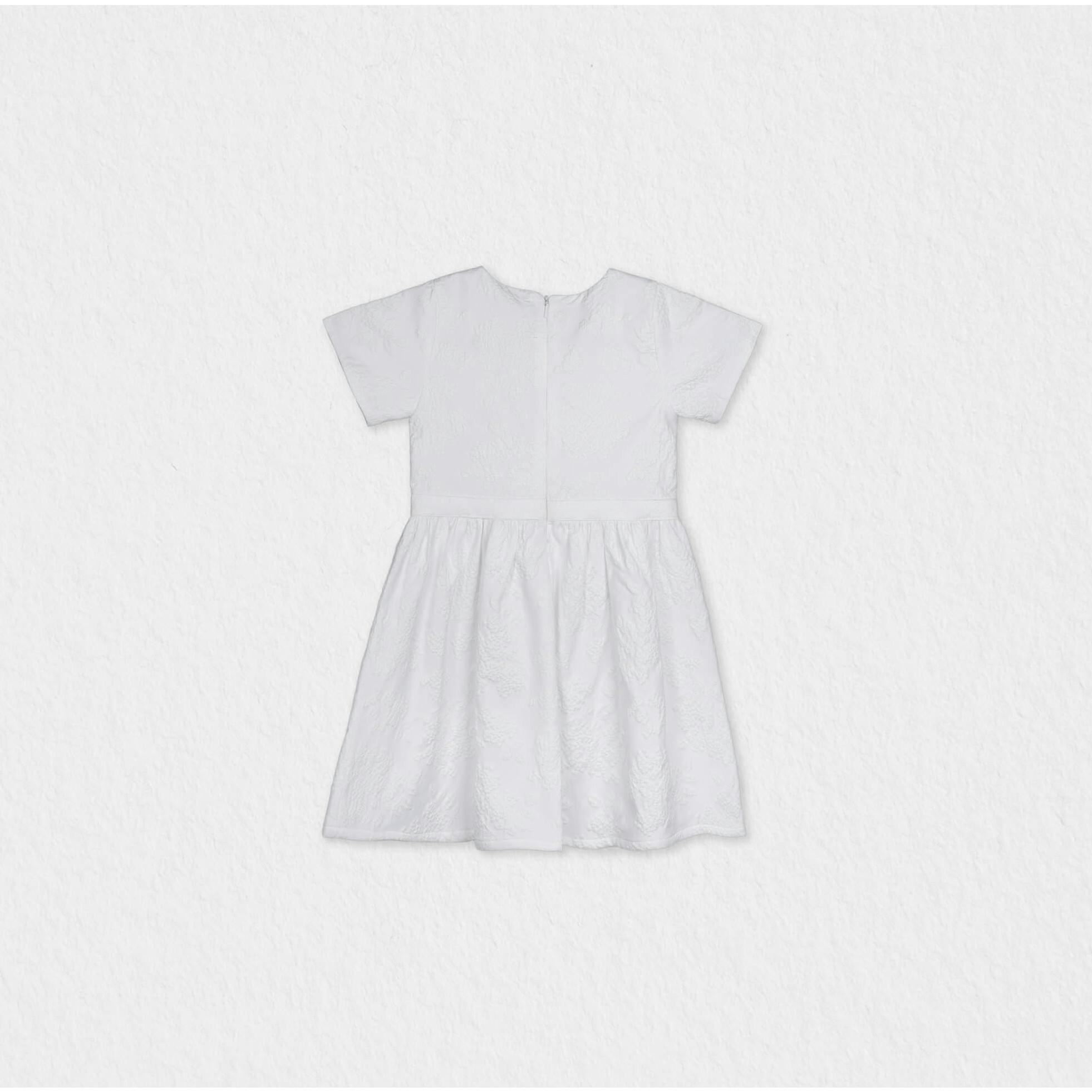 Eryna Girl Dress Short Sleeve, White Grape Embroidery