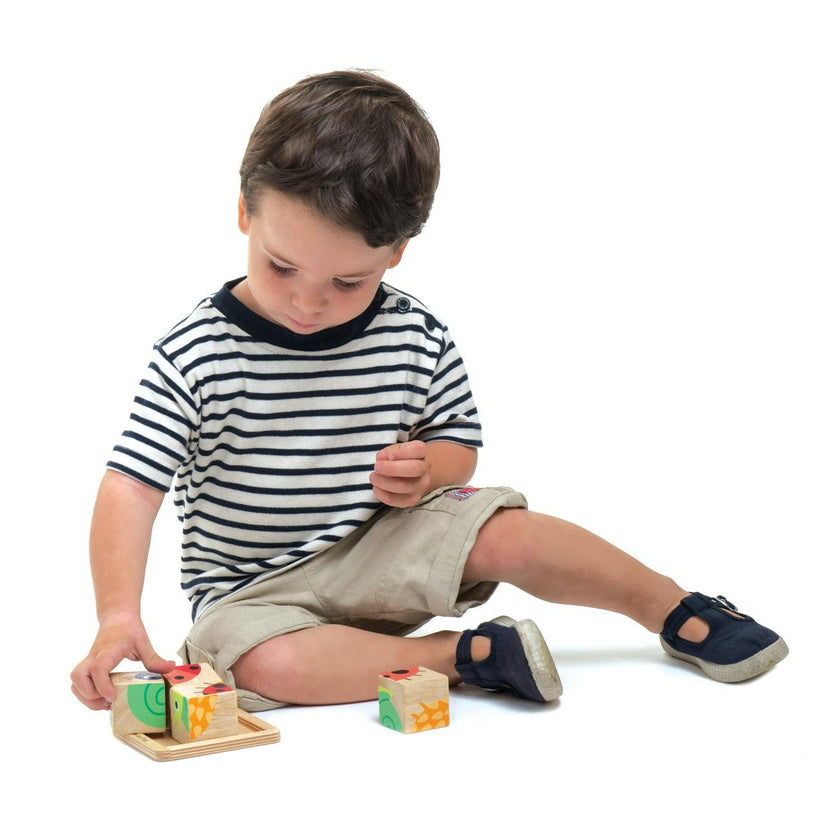 Baby Blocks