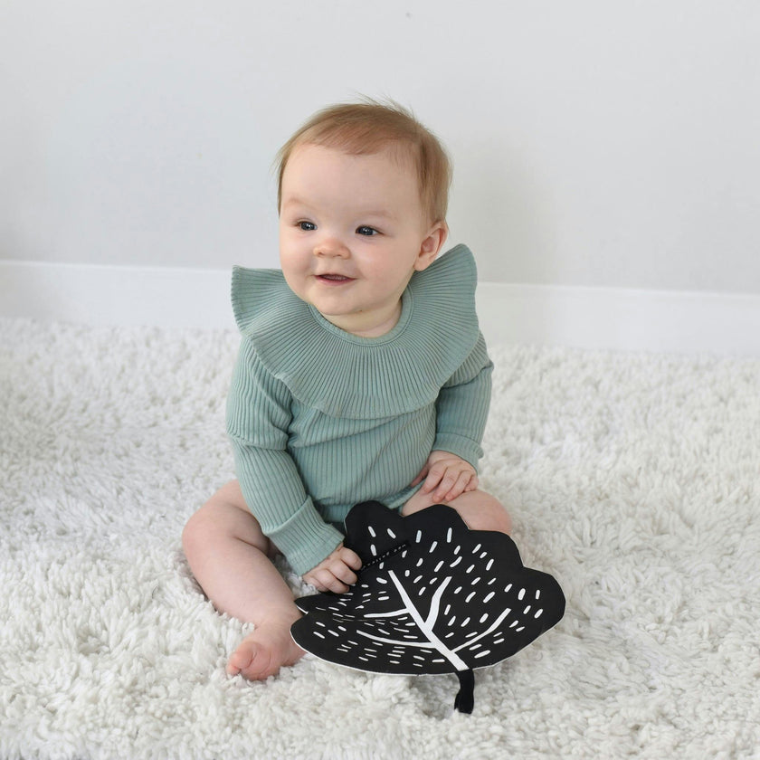 Crinkle Toys