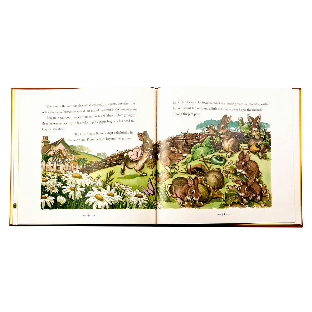 The Classic Tale of Peter Leather Bound Classic Children's Book