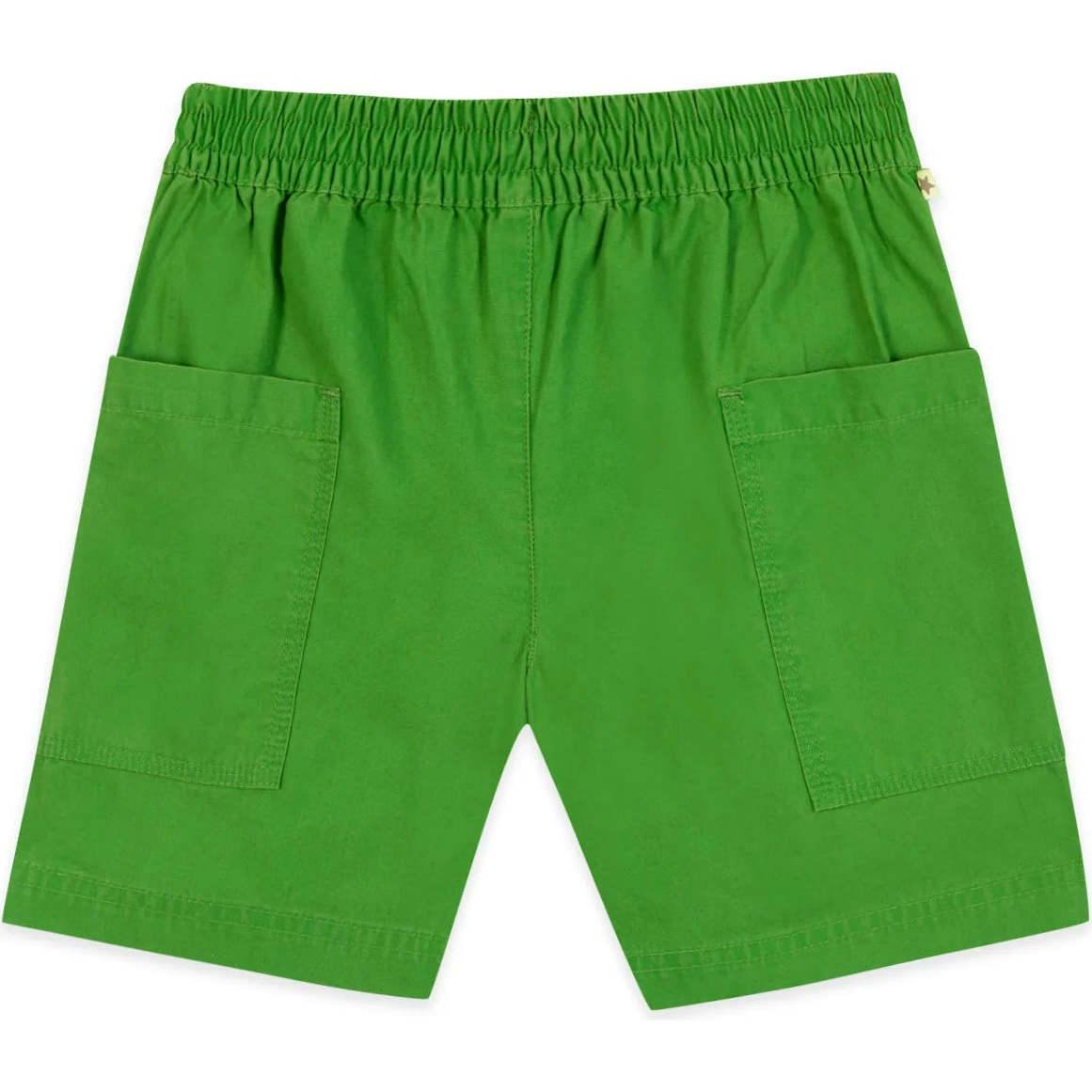 BONTON Spring Green Lois Shorts
