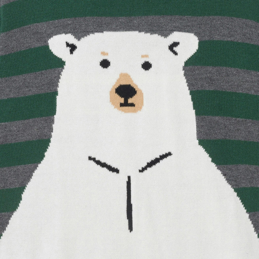 Toddler & Kids Boys Graphic Sweater | Polar Bear - Green
