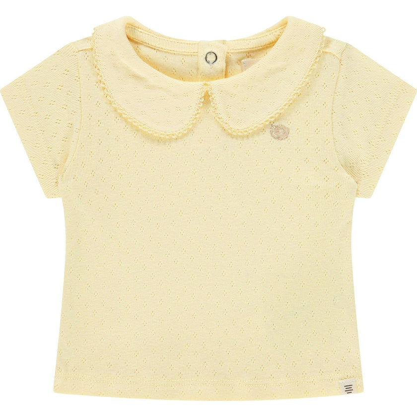Pointelle Short Sleeve Collar Top