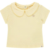 Pointelle Short Sleeve Collar Top