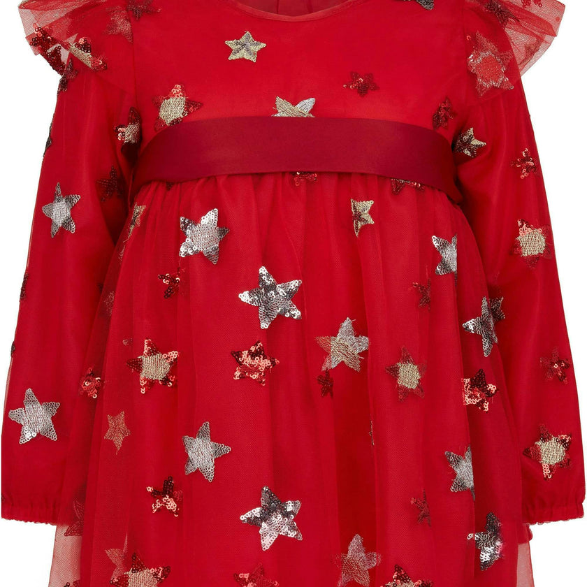 Seren Embroidered Sequin Star Party Dress
