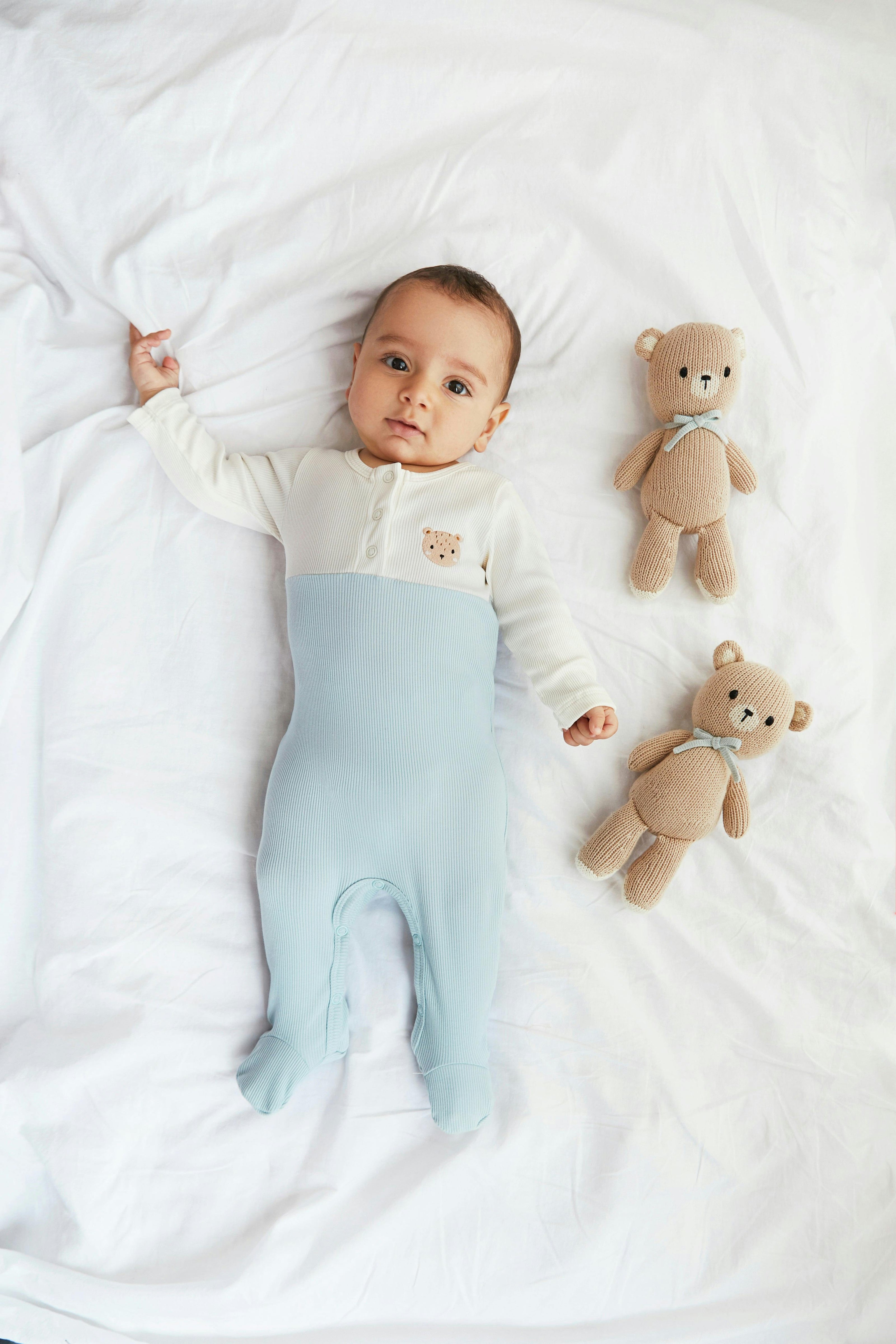 The Baby bear 8.5