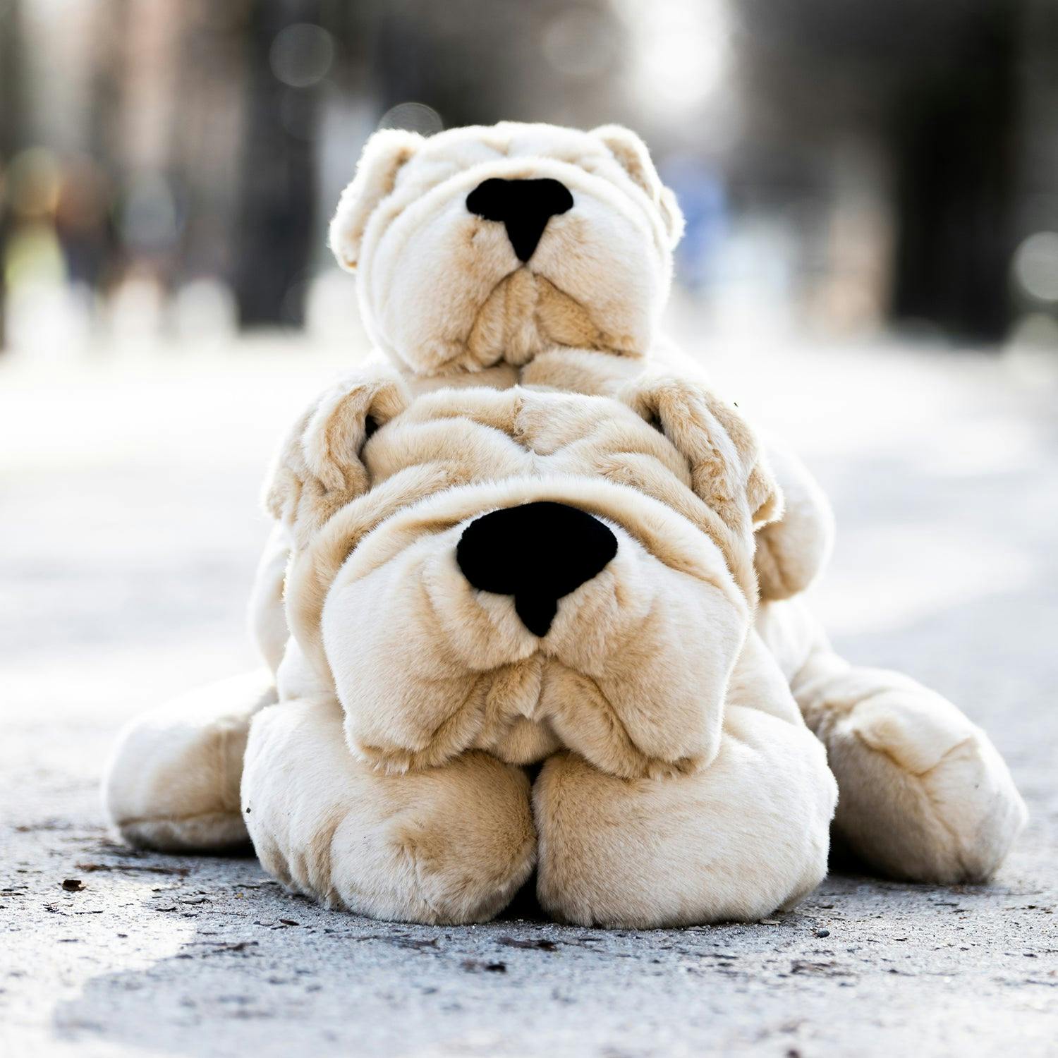 My Hector - Large 65cm