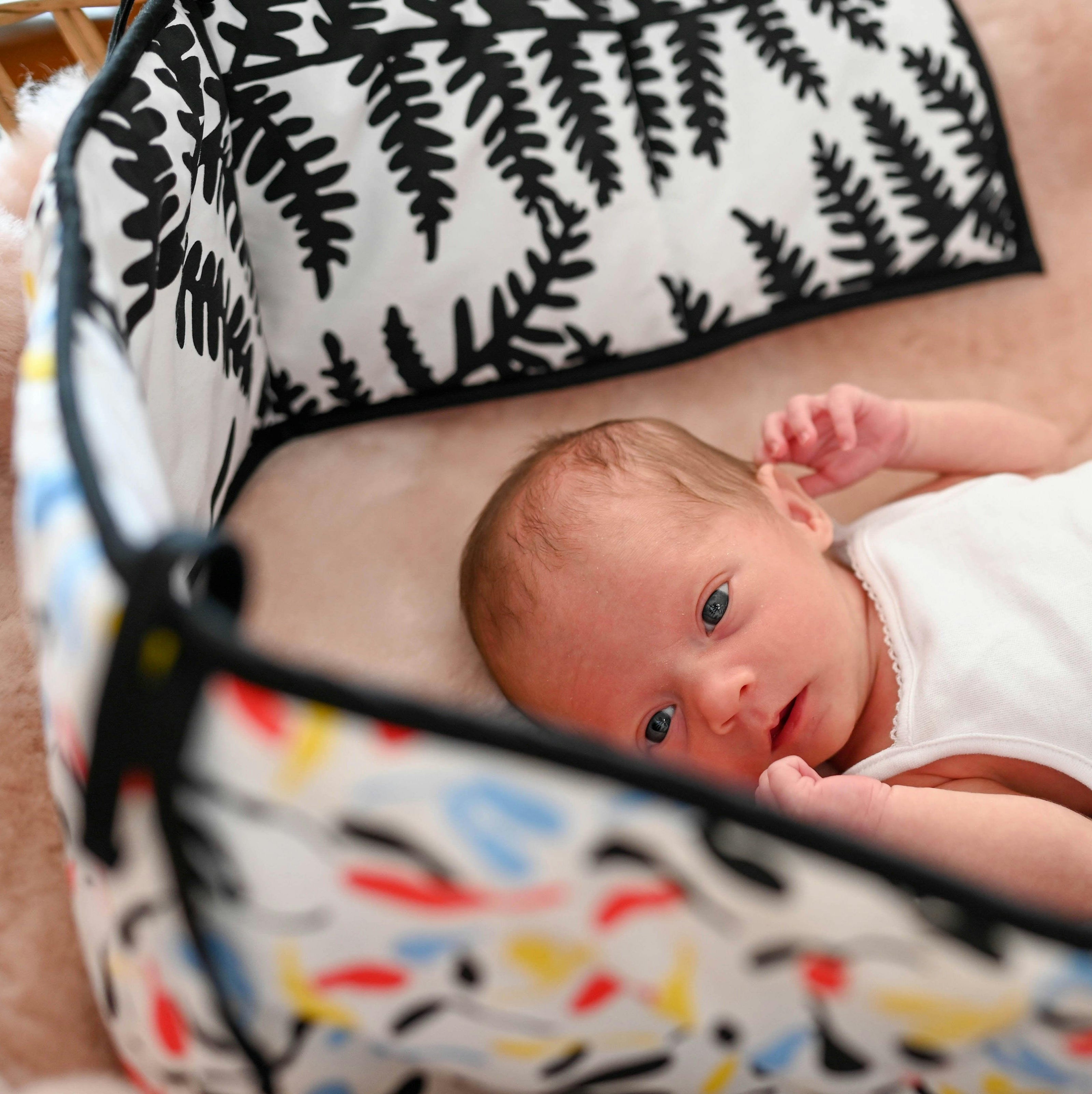 Plant Print Reversible Sensory Strip