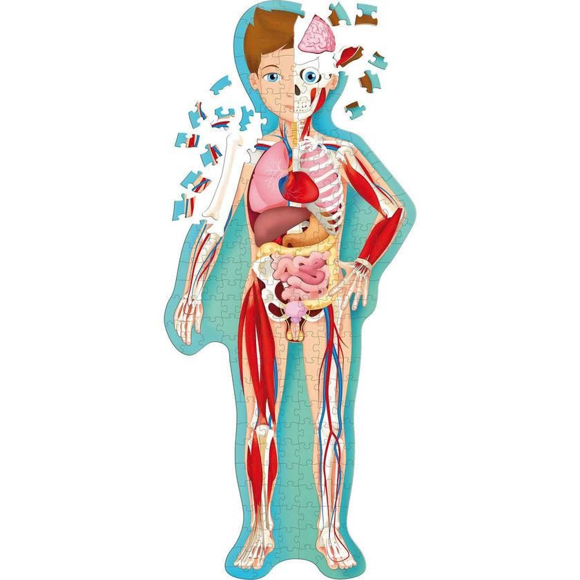 Travel, Learn & Explore: HUMAN BODY