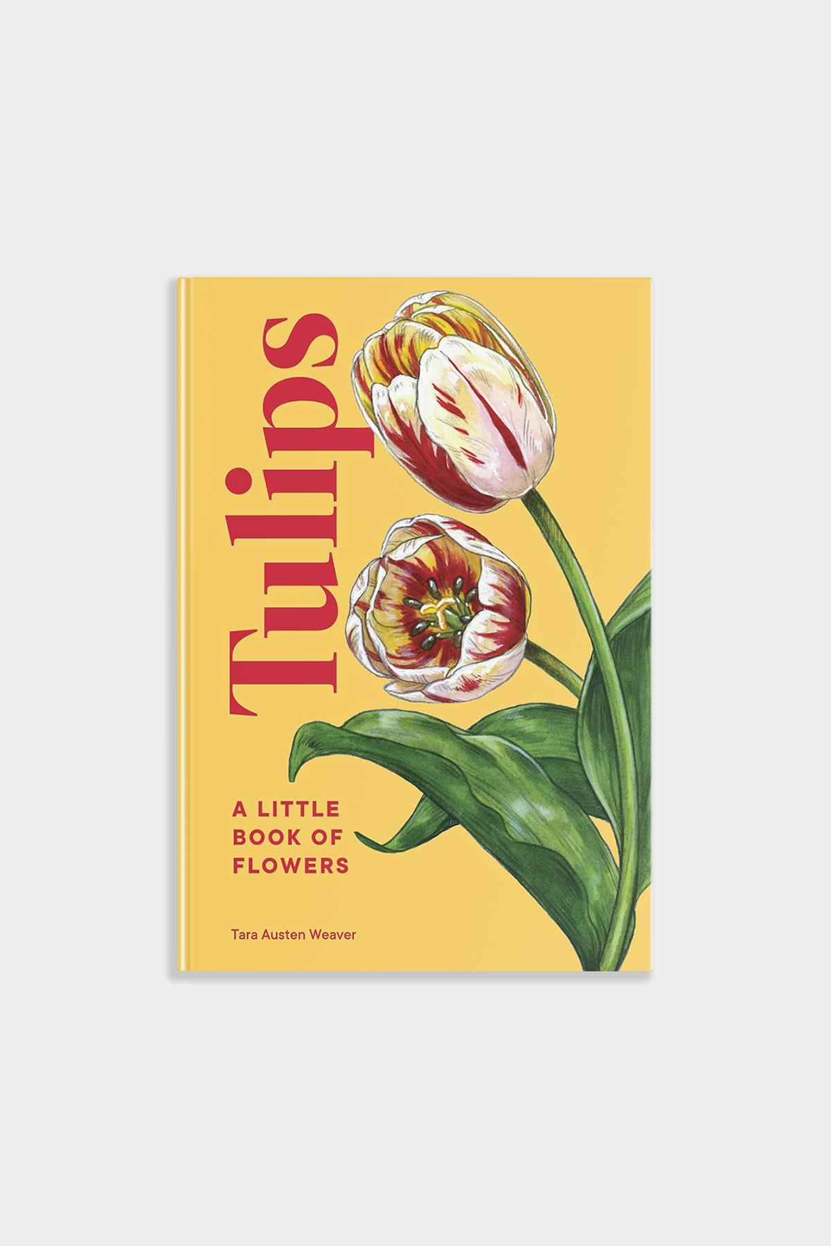 Little Book of Tulips
