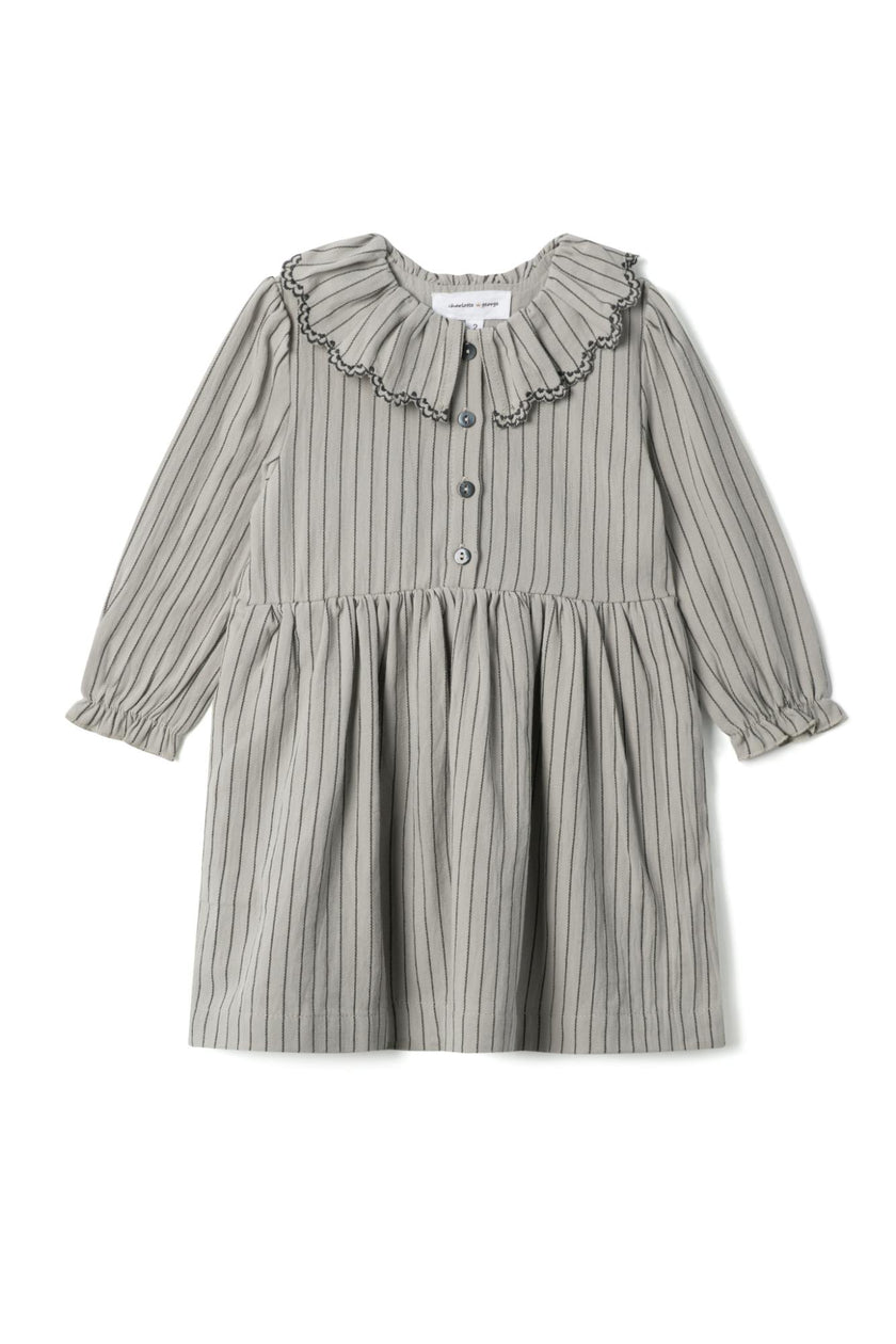 Woven Striped Embroidered Button Front Dress