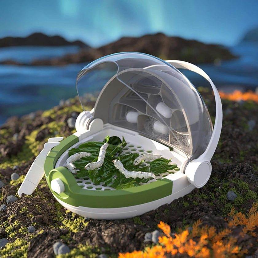 Hape: Science Can: Insects Growth Station