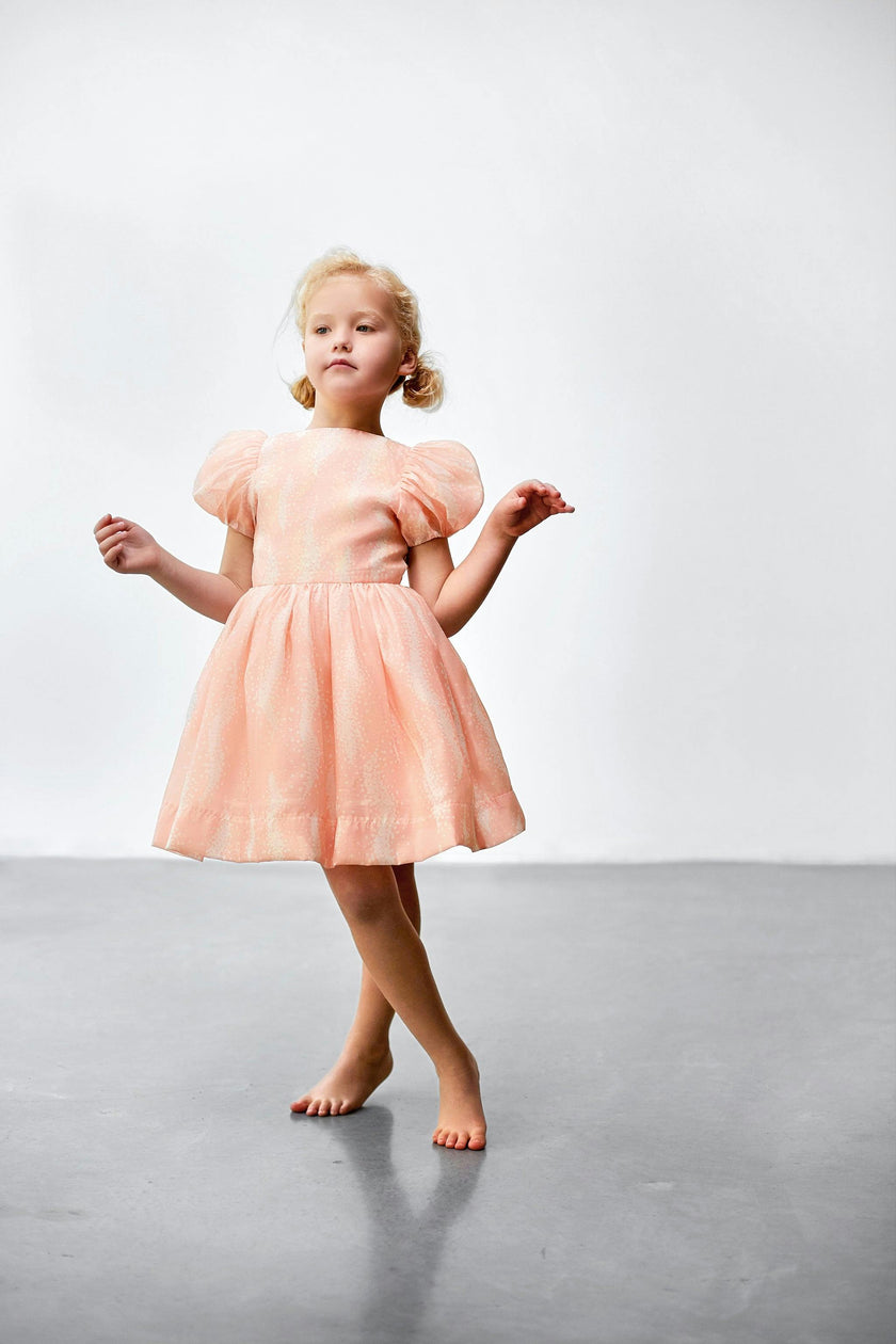 Fit & Flare Dress with Puff Sleeves