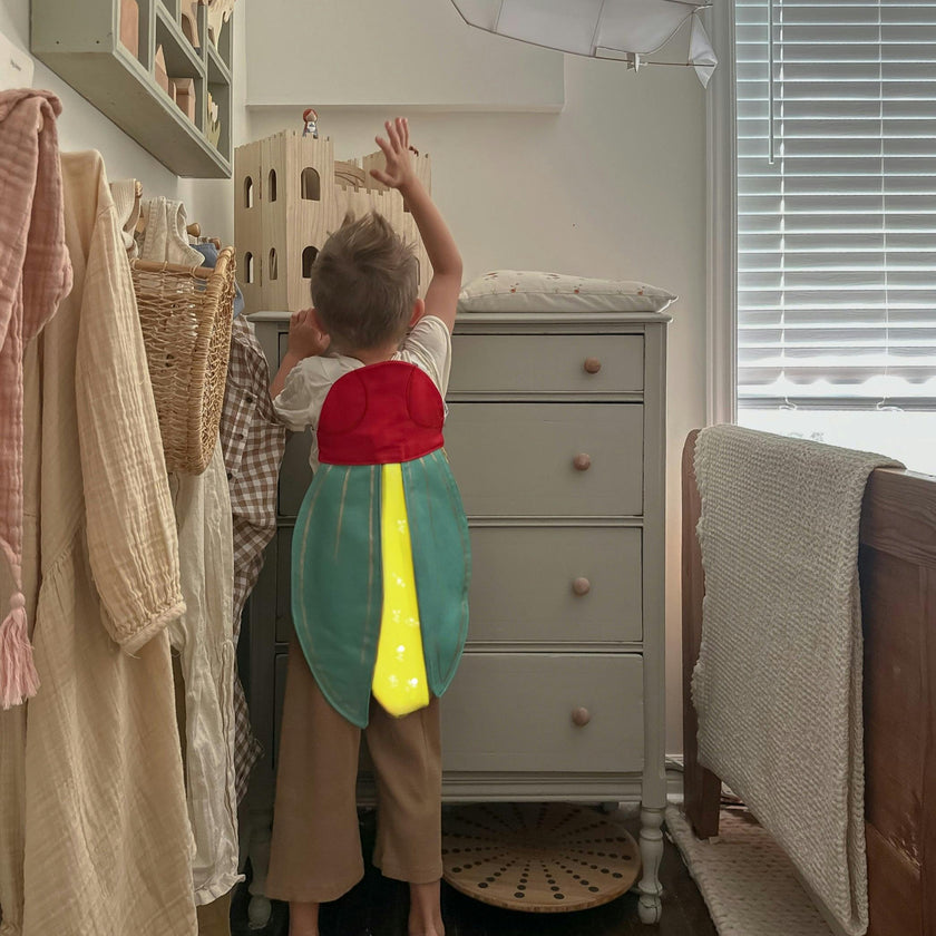 Firefly Costume Wings