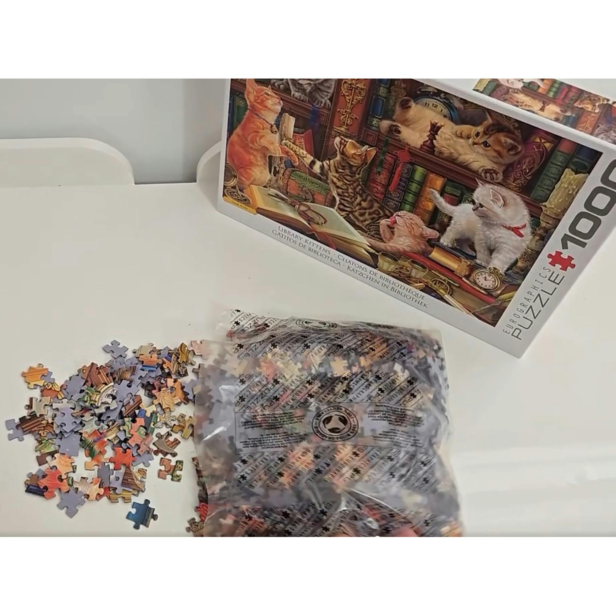 Library Kittens - 1000 PC Puzzle