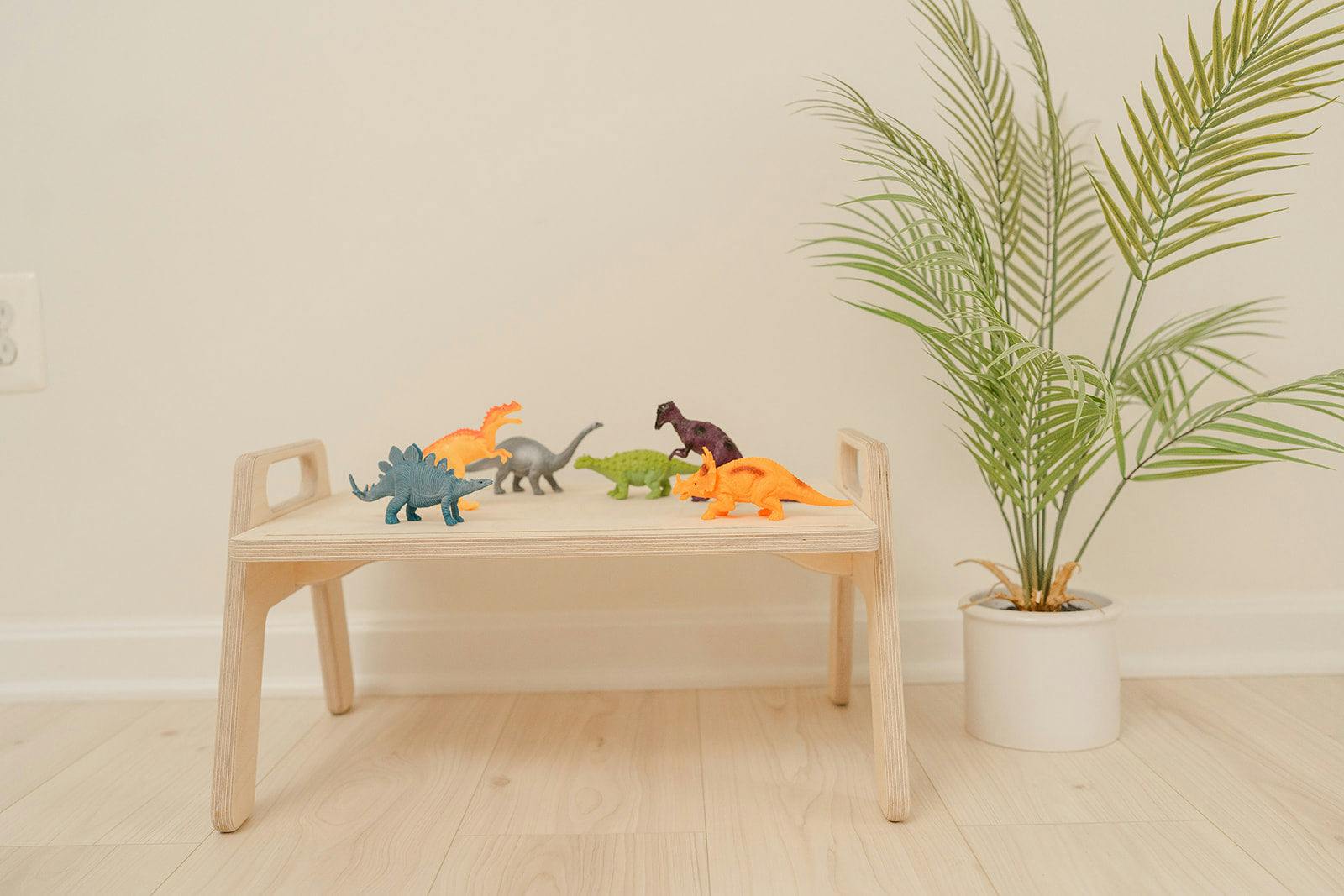 The Play Tray