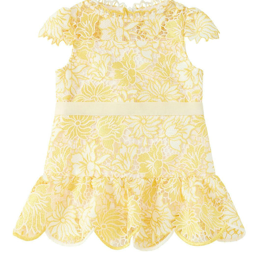 Cassandra Embroidered Mini Dress (Baby)