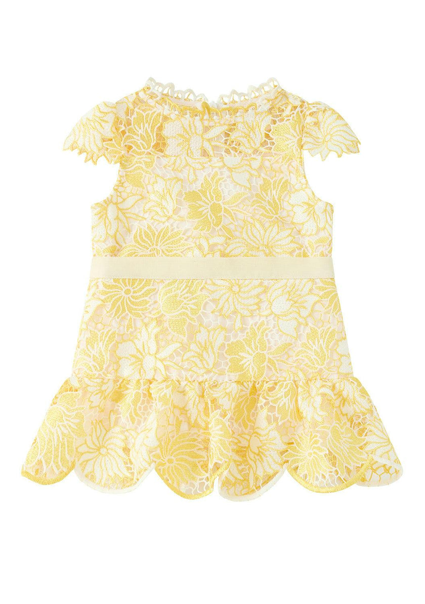 Cassandra Embroidered Mini Dress (Baby)