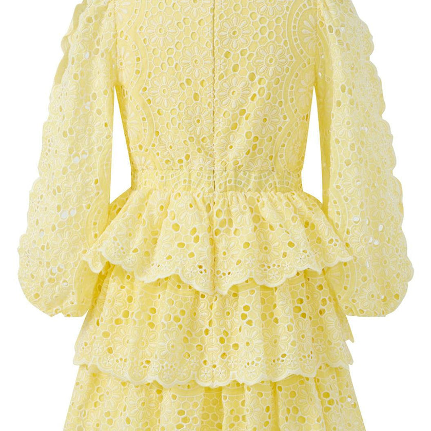 Skyla Sleeve Embroidered Mini Dress